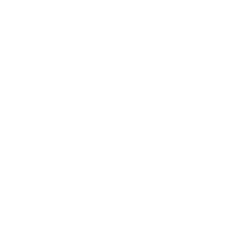 Officer Chief Financial Officer